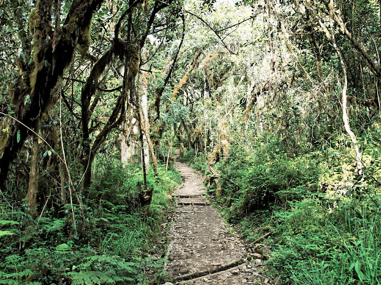 image31