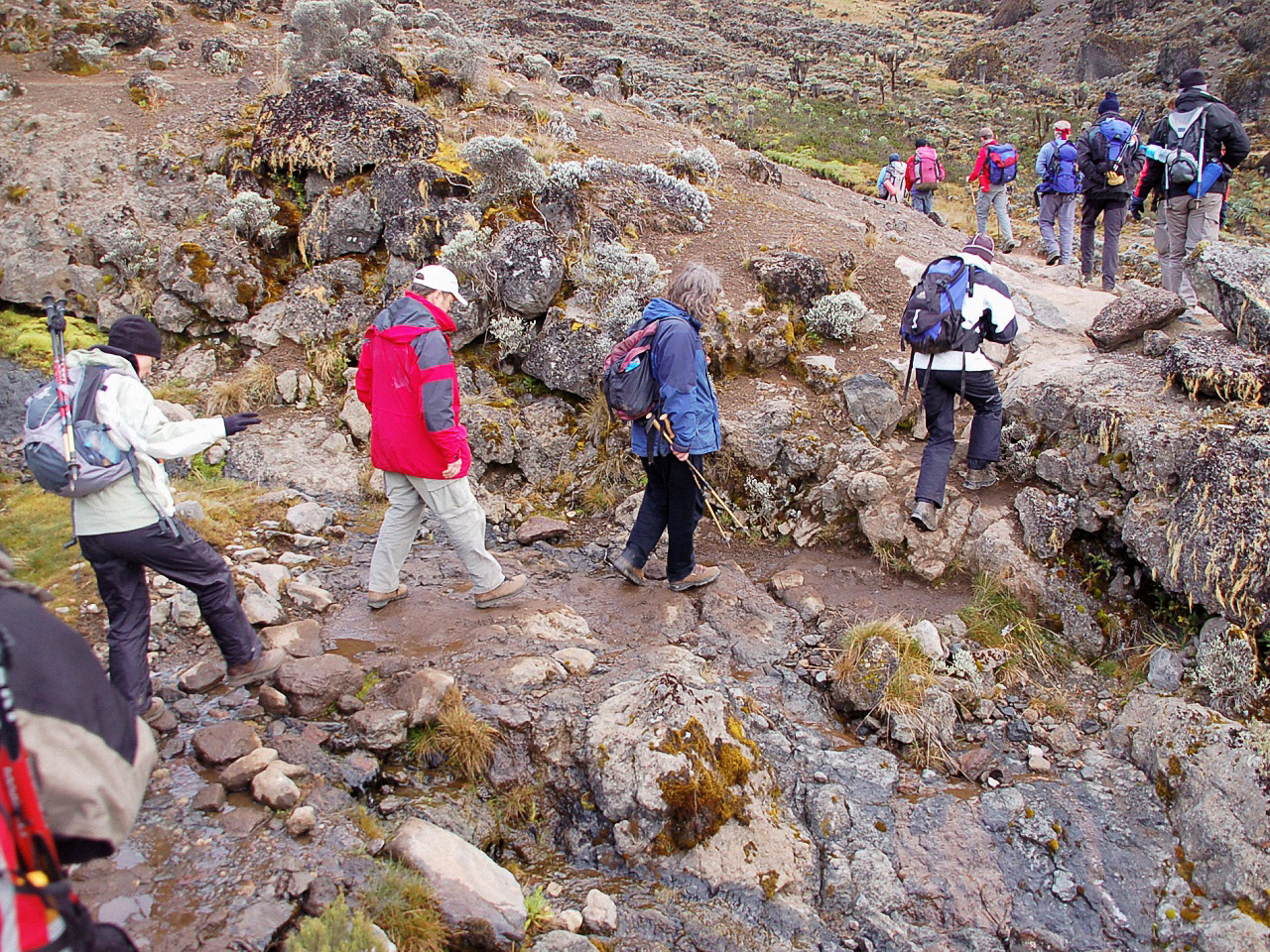 image72