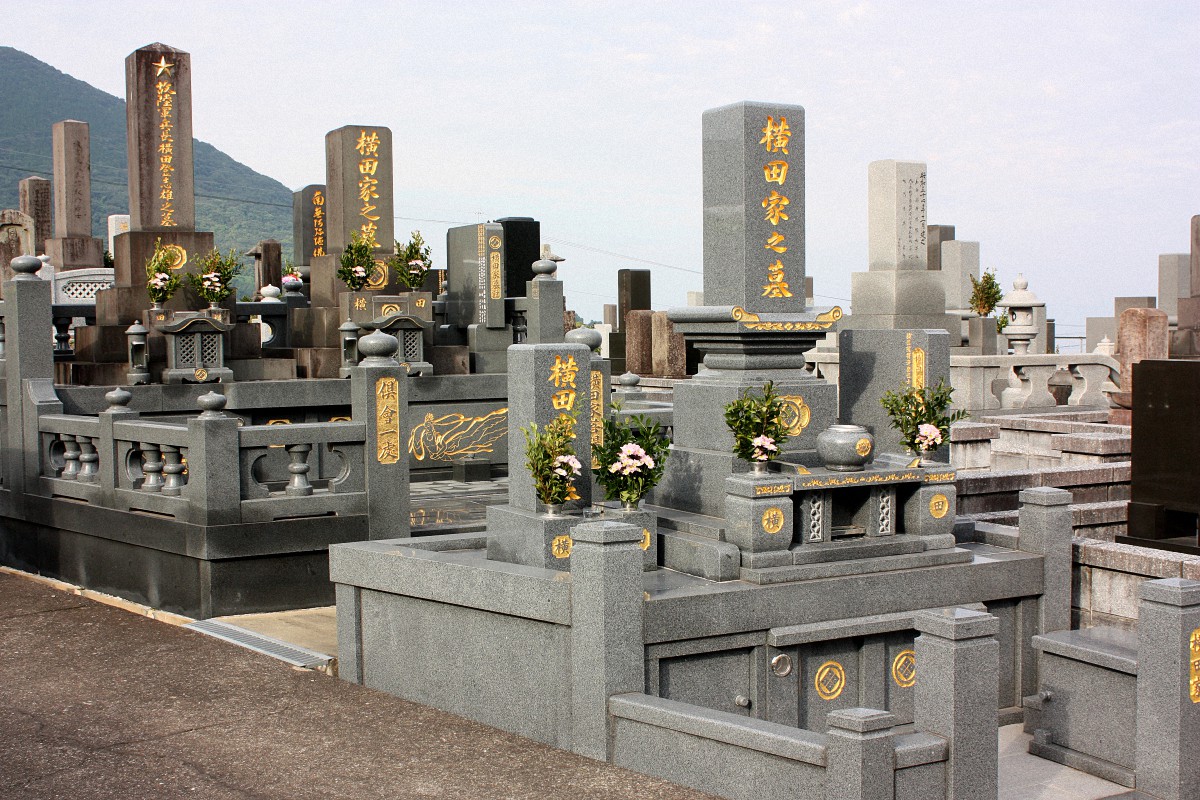image14