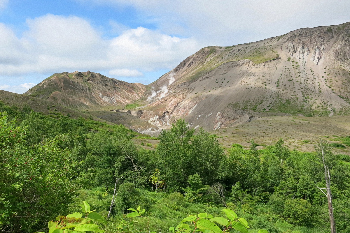 image14