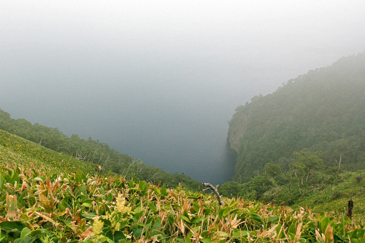 image23