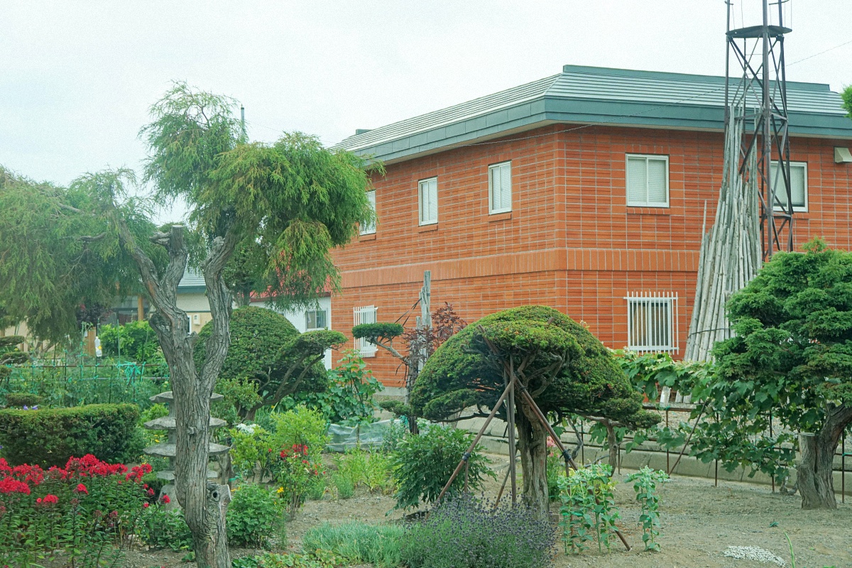 image11