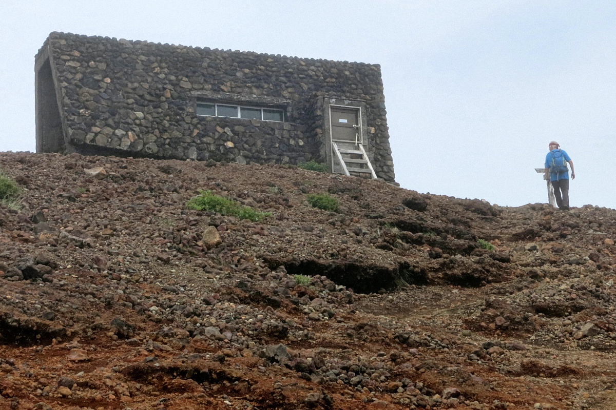 image6