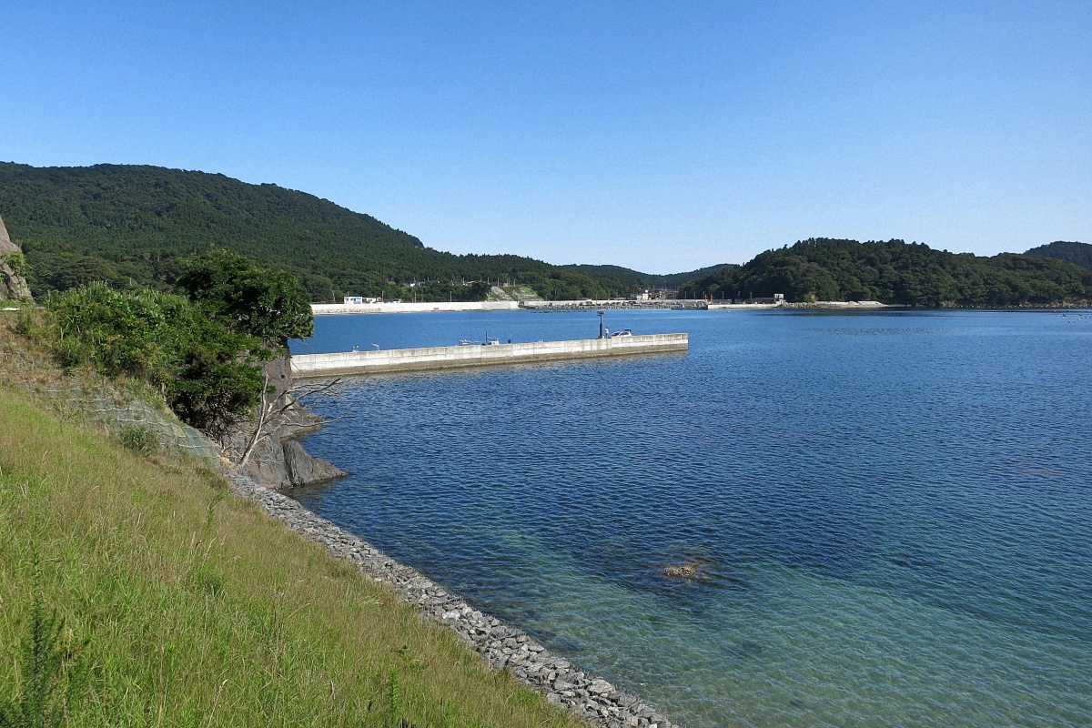 image6