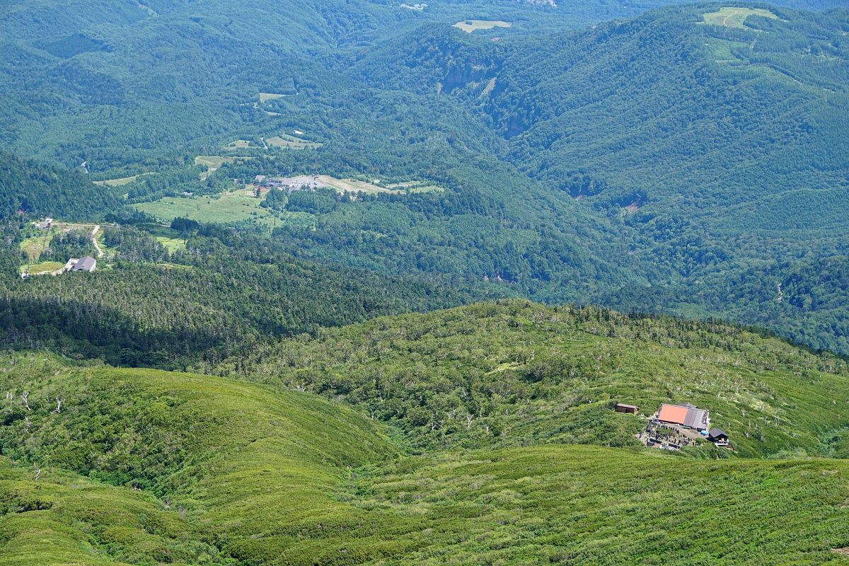 image11