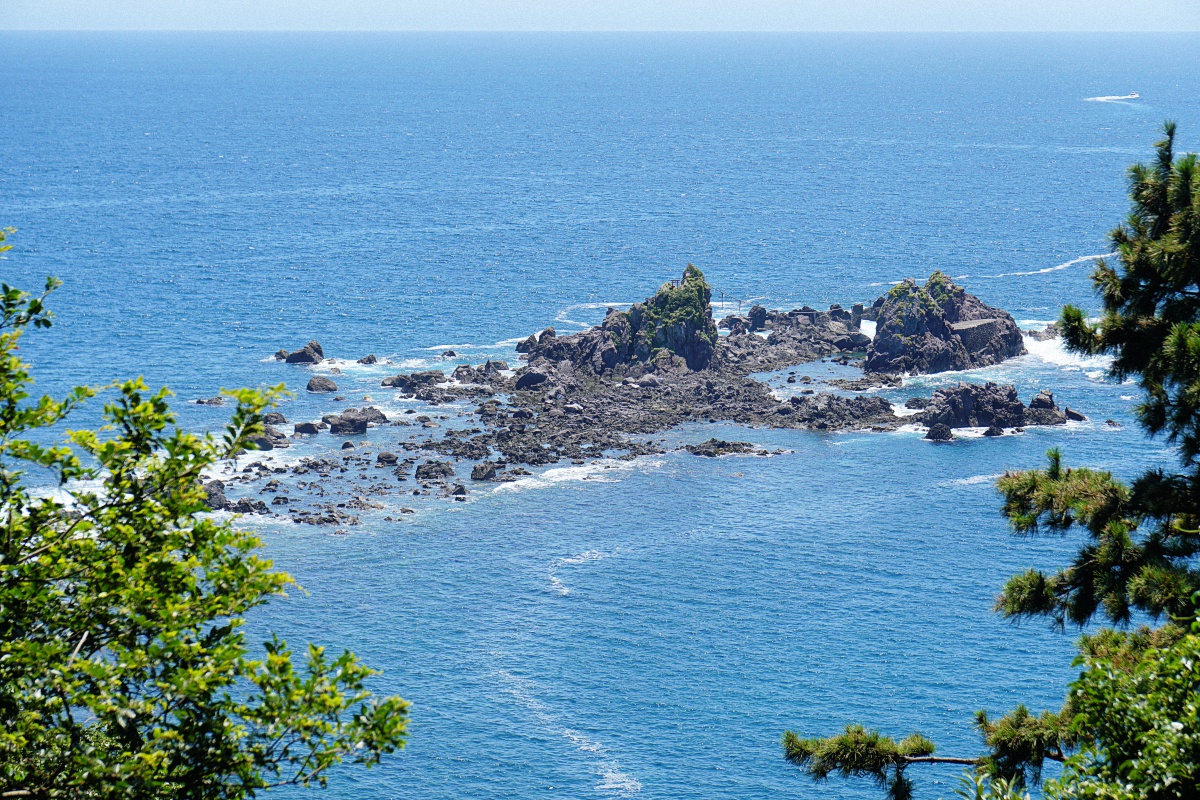 image1