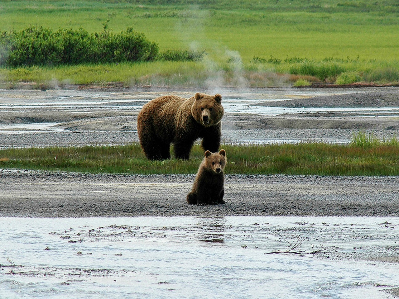 image93