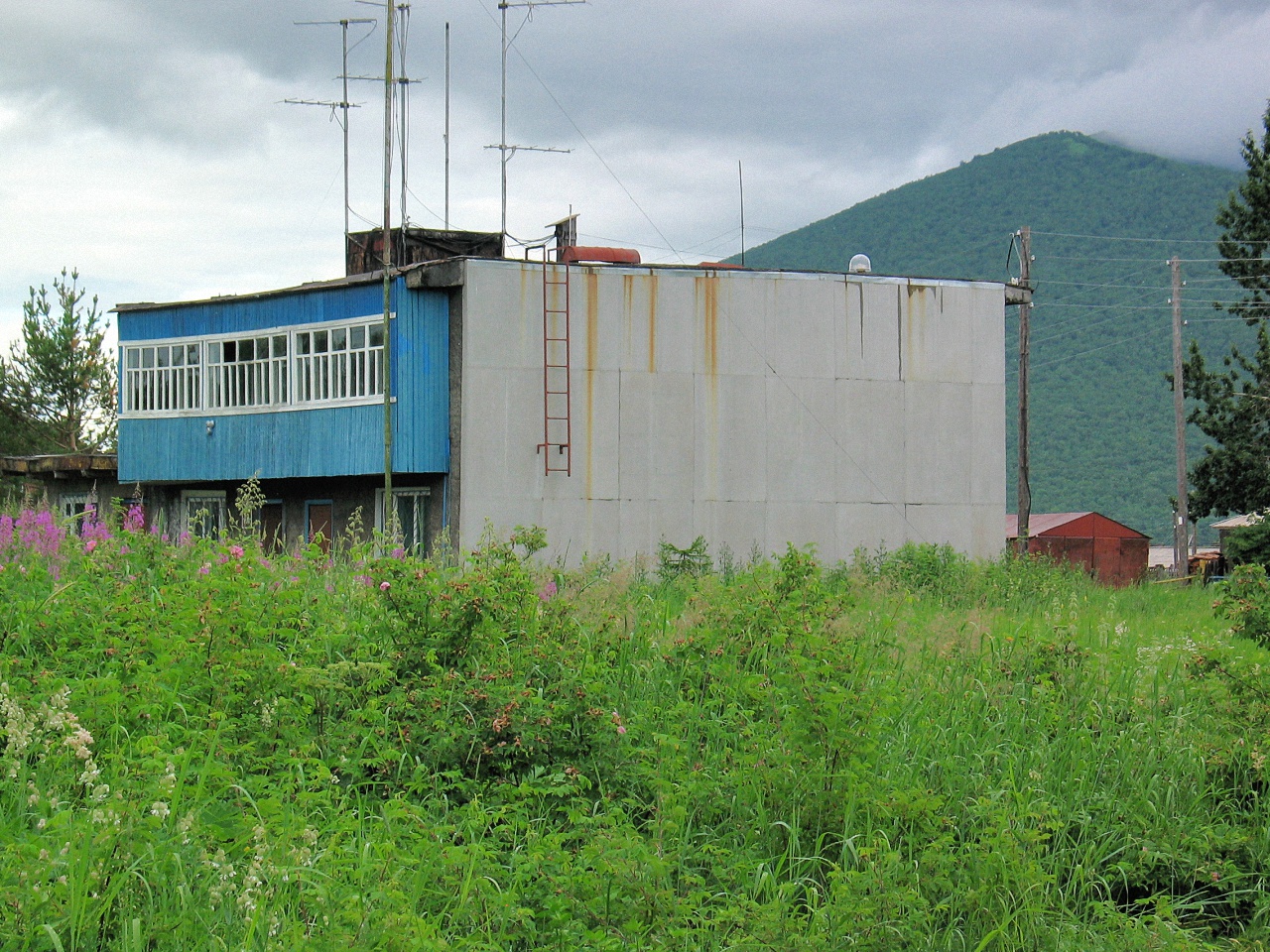 image19
