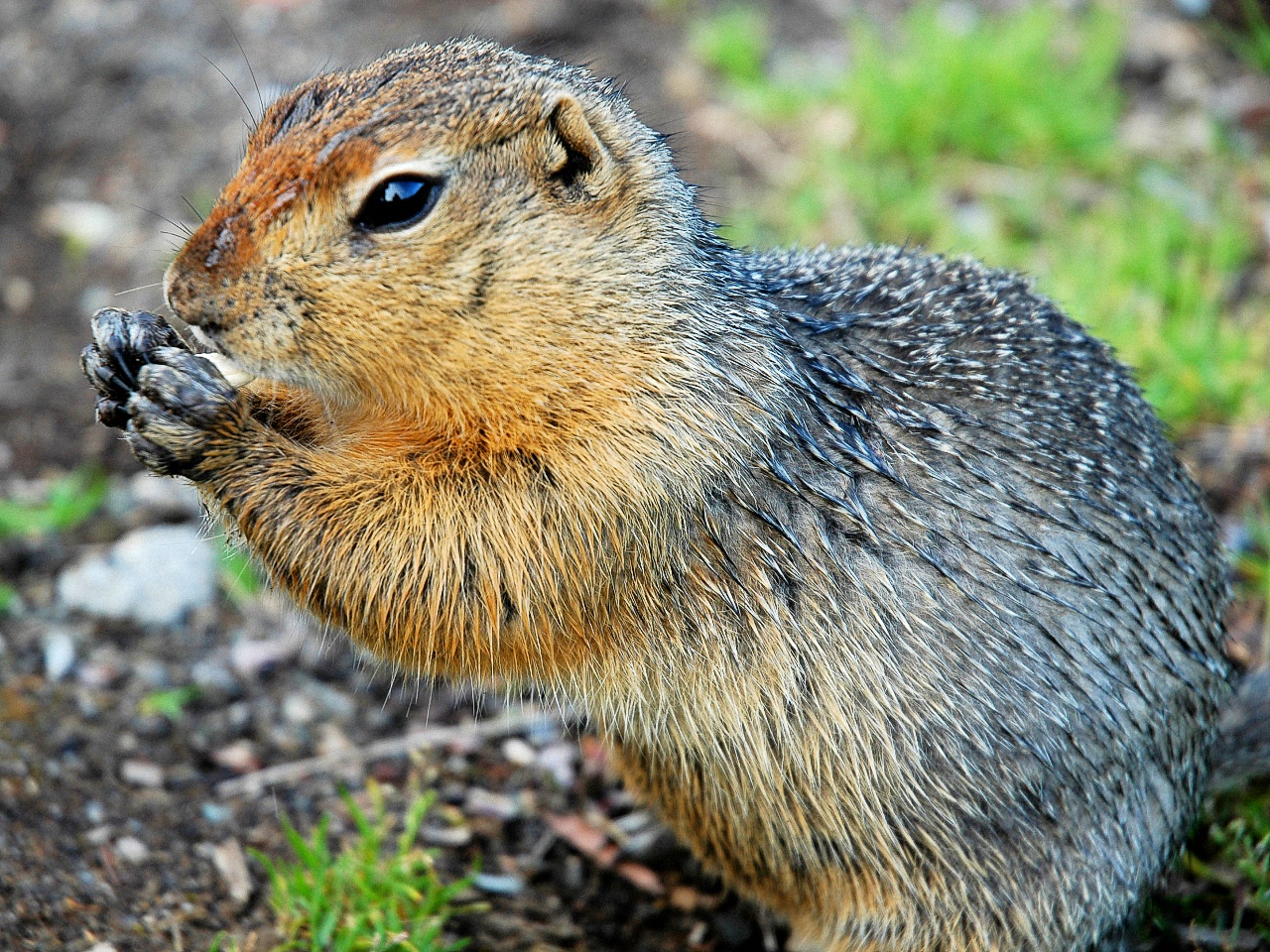 image124