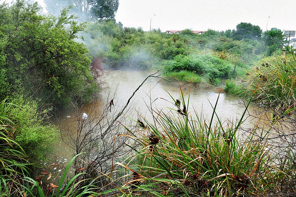 image11