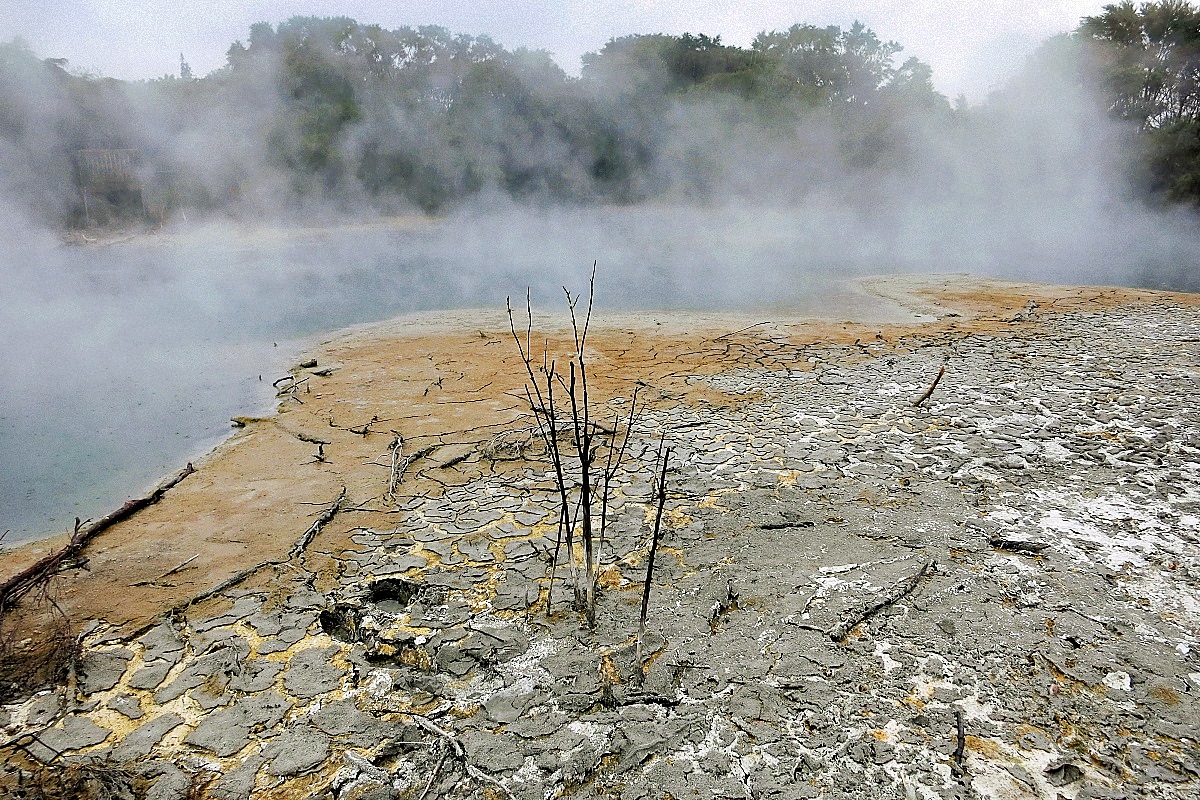 image13