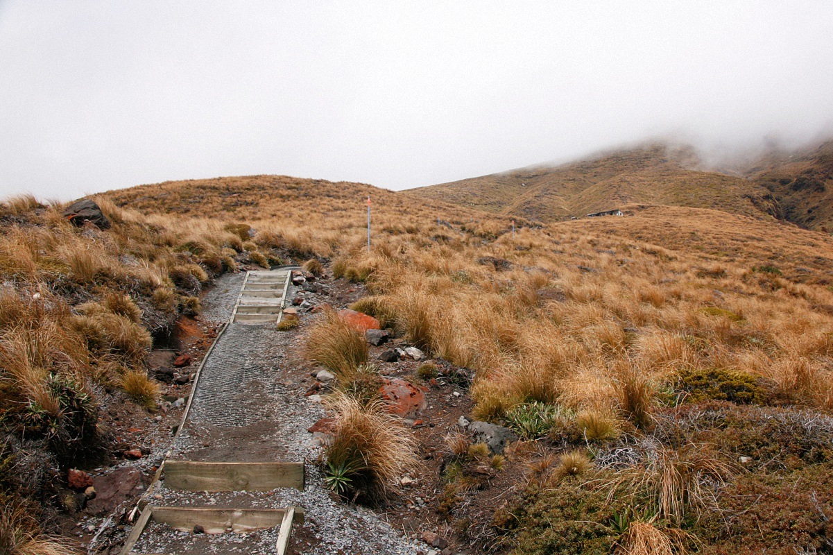 image17