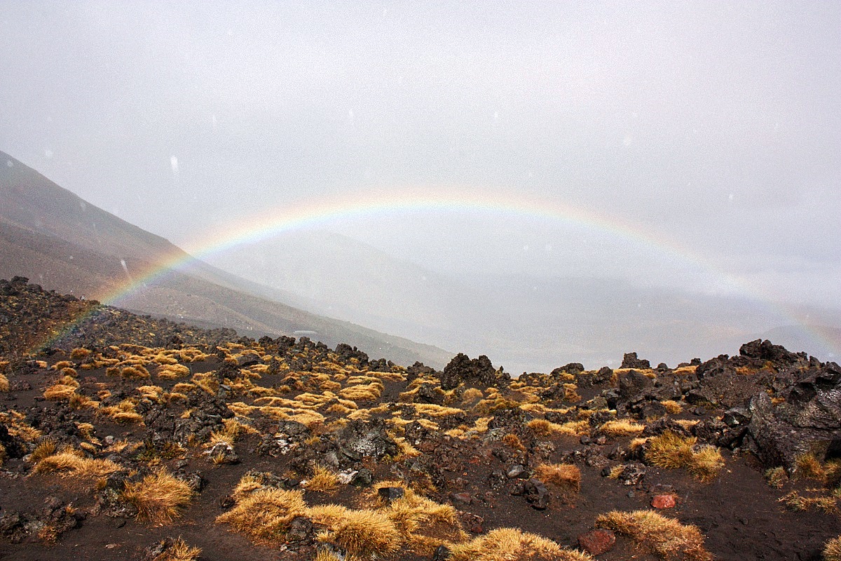image6