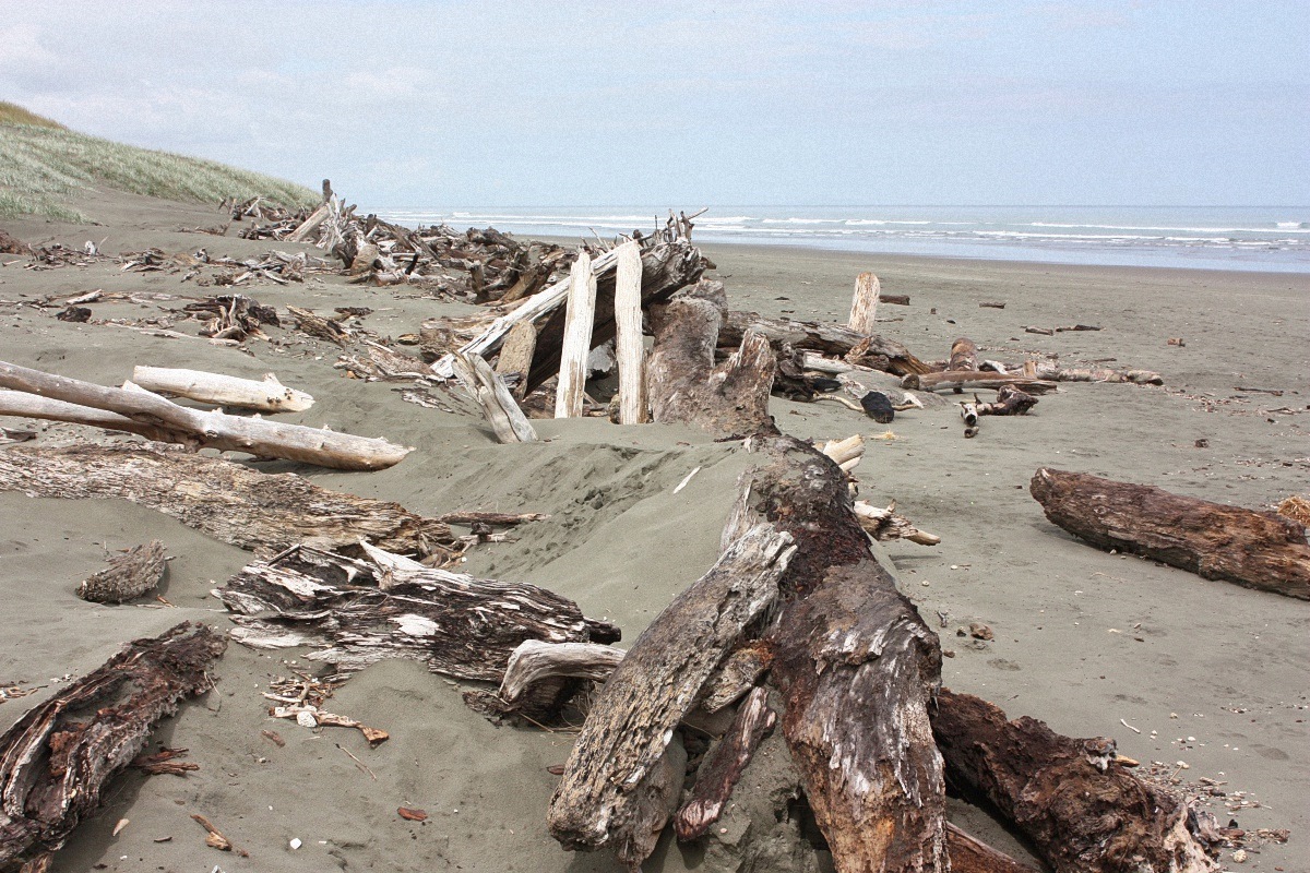 image6