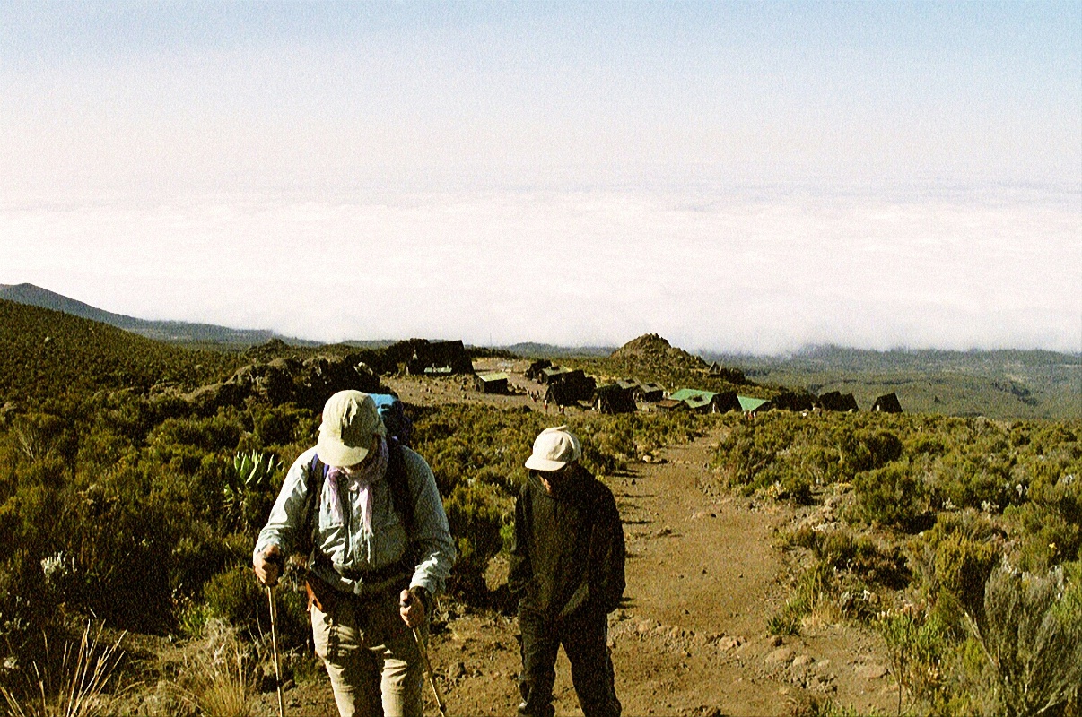 image101