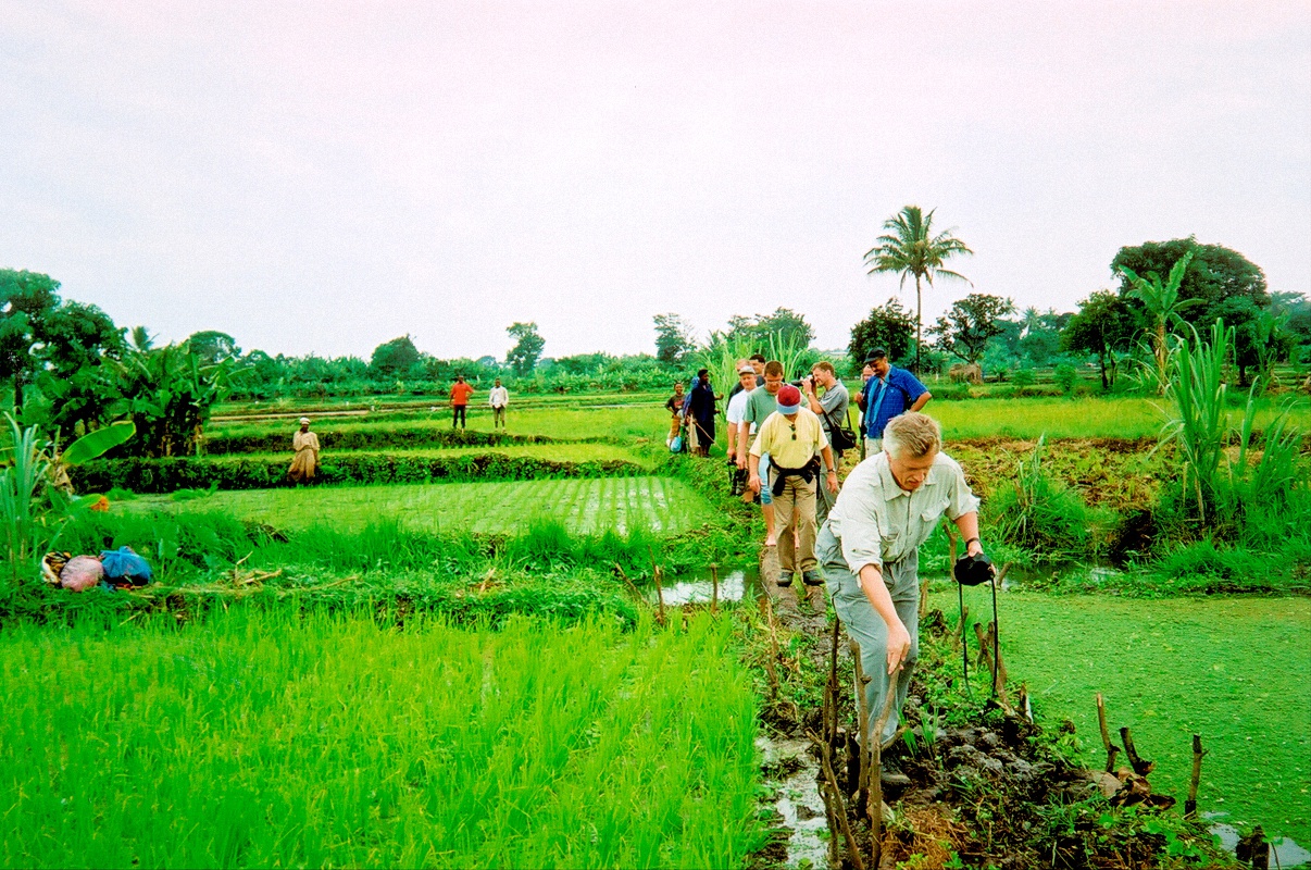image13