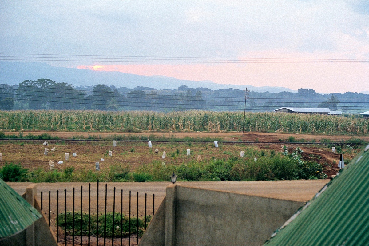 image53