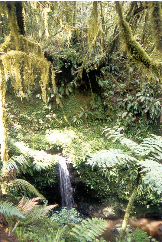 image74