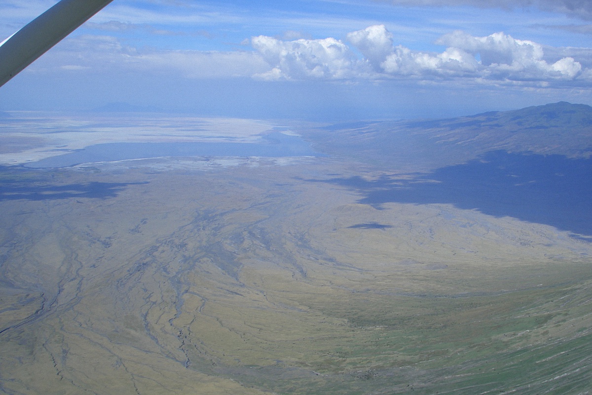 image52