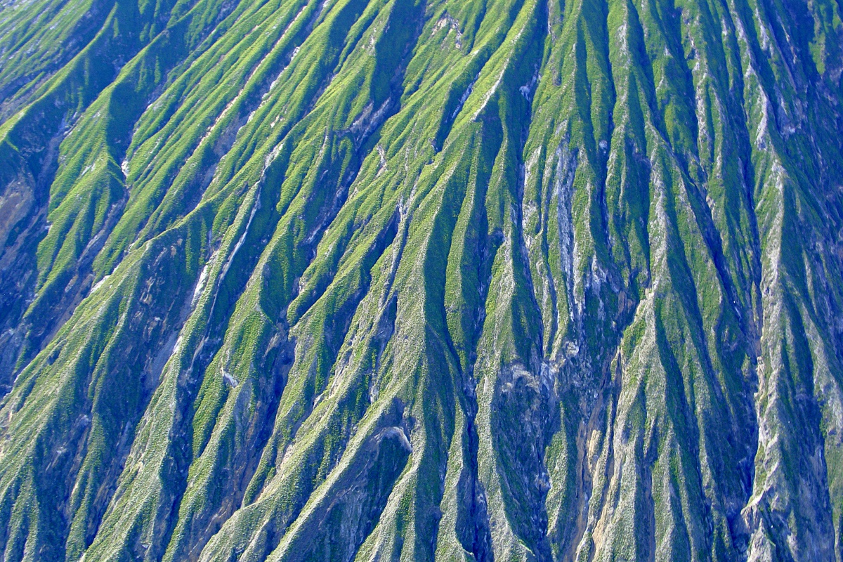 image58