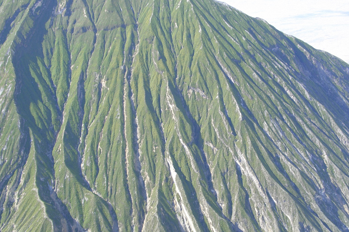 image60