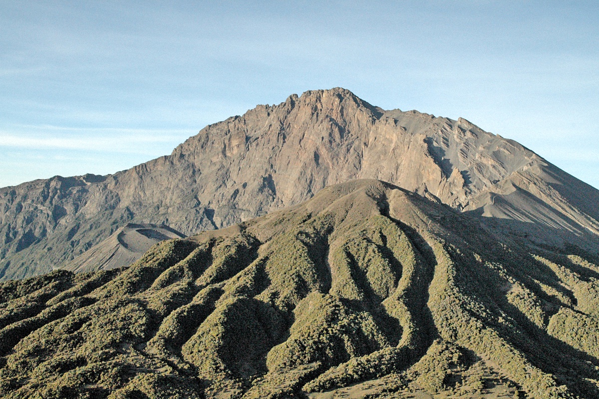 image38