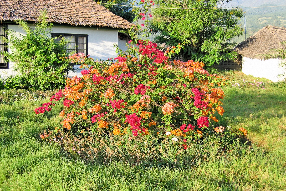 image58